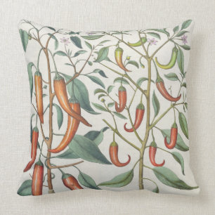 Peppers: 1.Piper Indicum maximum longum; 2.Piper I Throw Pillow
