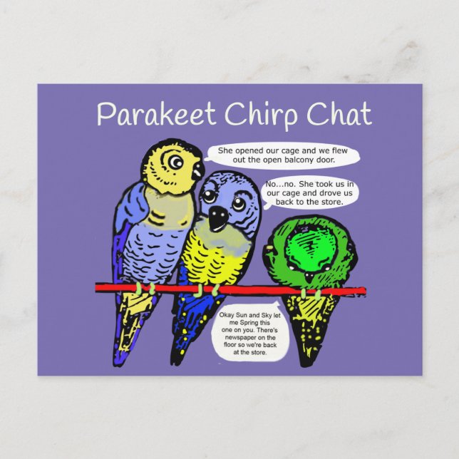 Perakeet Chirp et Talk est pas cher carte postale (Devant)