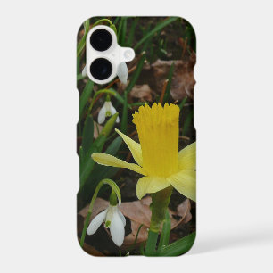 Perce-Neige et Floraison Printanière de Jonquilles