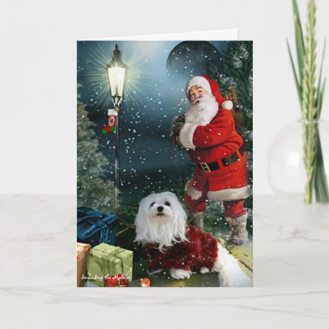 Perce-neige la carte de Noël maltaise (Devant)