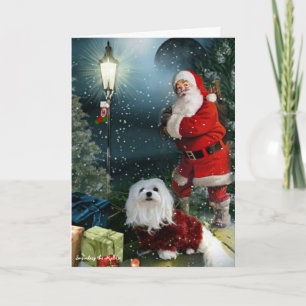 Perce-neige la carte de Noël maltaise