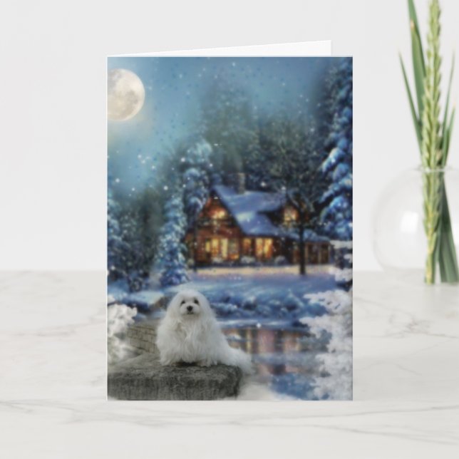 Perce-neige la carte de Noël maltaise (Devant)