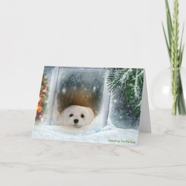 Perce-neige la carte de Noël maltaise (Devant)