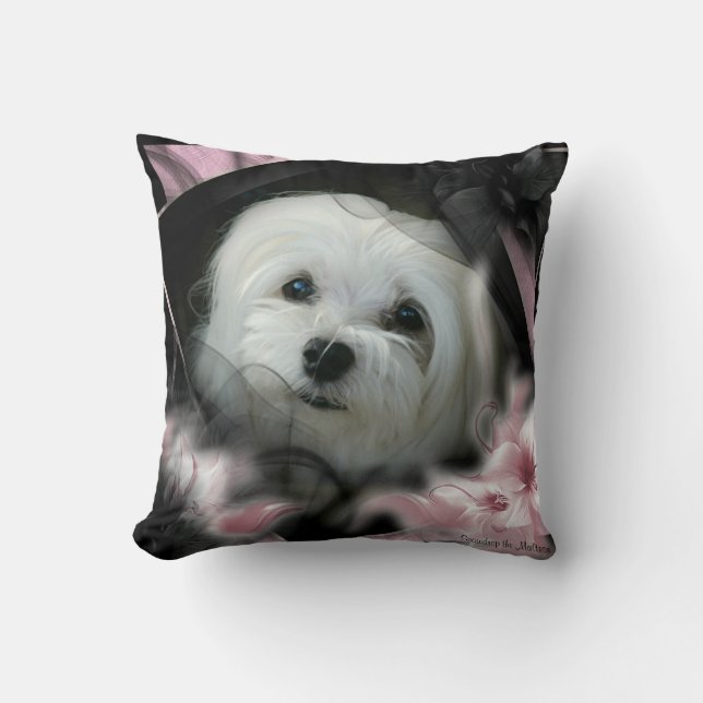 Perce-neige le coussin maltais (Recto)
