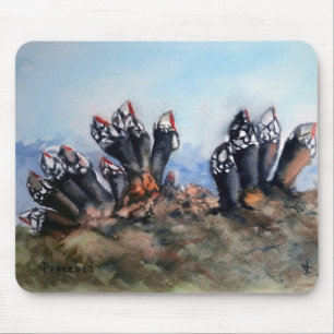 Percebes/Barnacles Mouse Pad