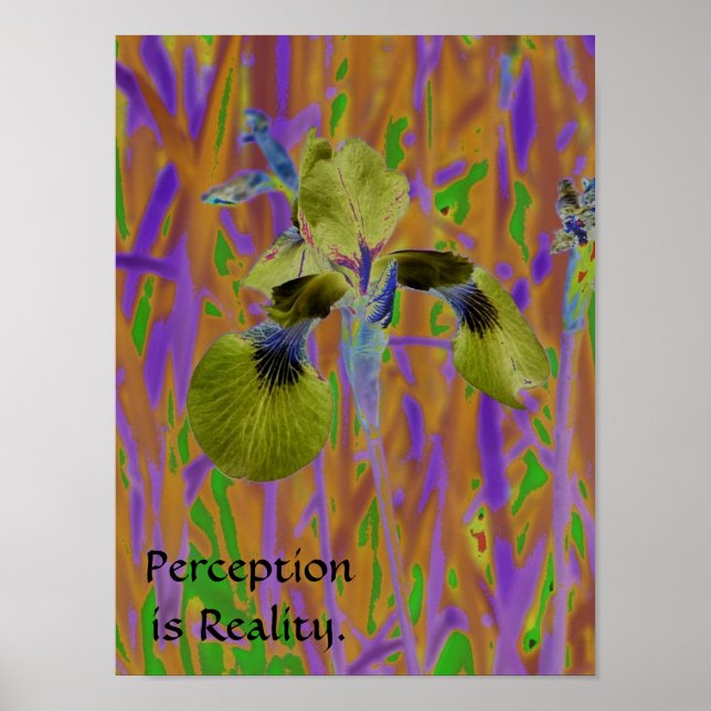 Perception is Reality Poster-Iris Poster (Front)