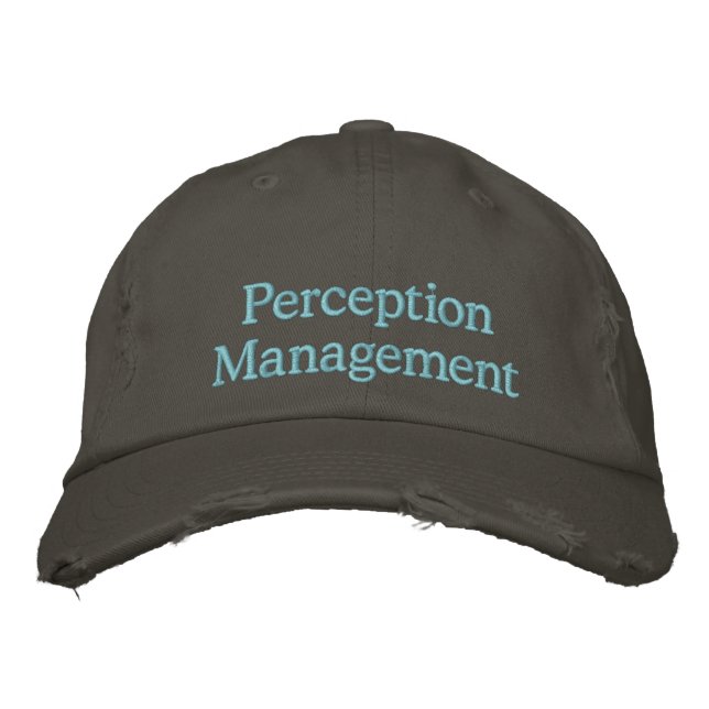Perception Management Embroidered Hat (Front)