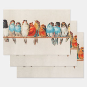 Perch of Birds, Bird Art, Bird Artwork, Decoupage Wrapping Paper Sheet