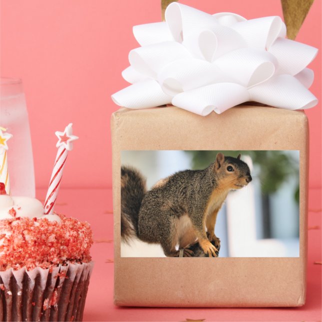 Perch  sticker (Party)