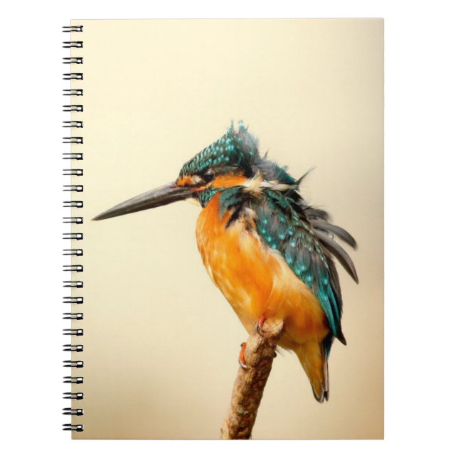 Perched Bird Notebook (Front)