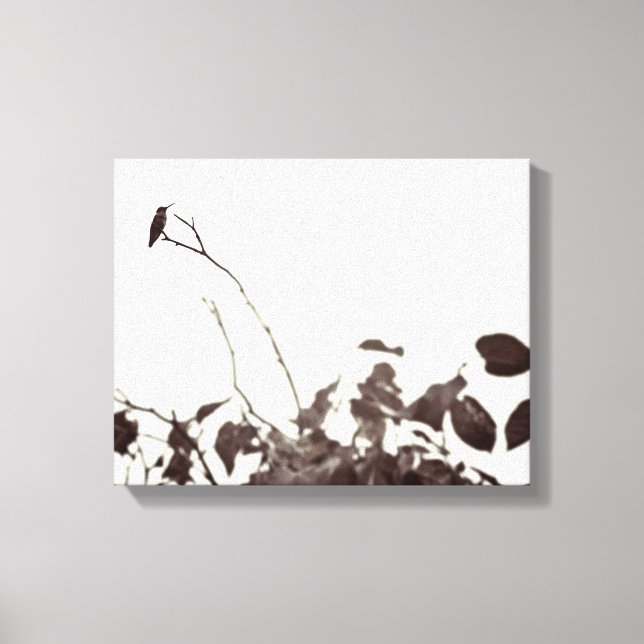 Perched Hummingbird 14x11 Wrapped Canvas (Front)