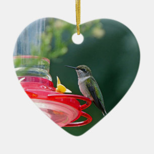 Perched Hummingbird Ceramic Ornament