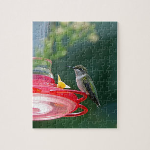 Perched Hummingbird Jigsaw Puzzle