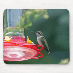 Perched Hummingbird Mouse Pad