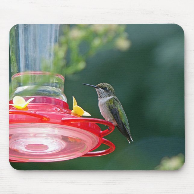 Perched Hummingbird Mouse Pad (Front)