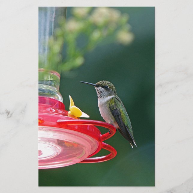 Perched Hummingbird Stationery (Front)