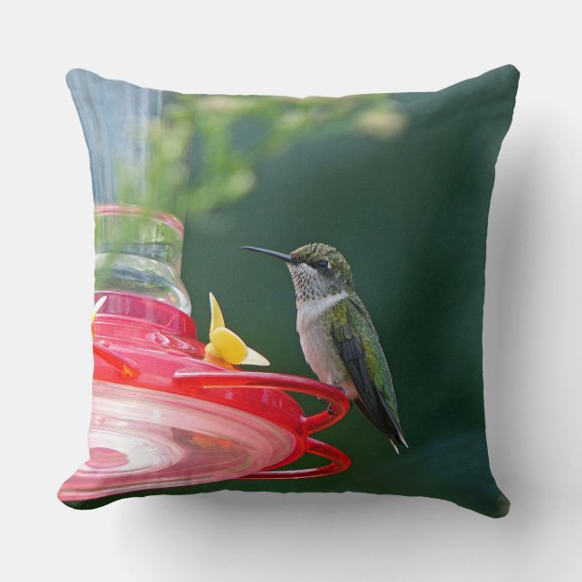Perched Hummingbird Throw Pillow (Front)