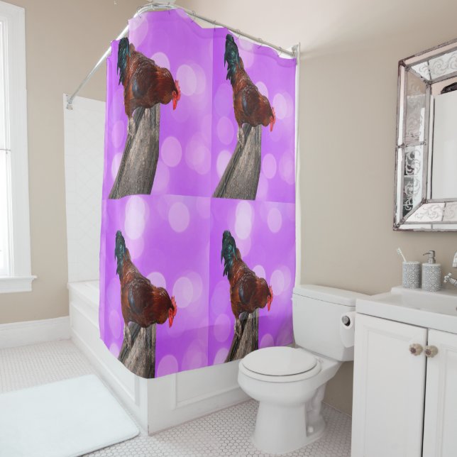 Perched in Majesty: Rooster On Dreamy Purple Glow (In Situ)