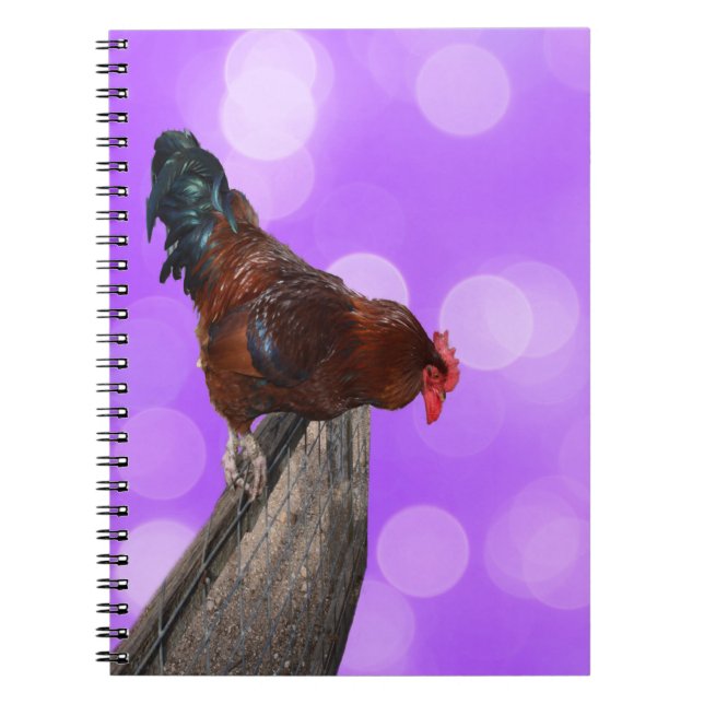 Perched in Majesty: Rooster On Dreamy Purple Glow Notebook (Front)
