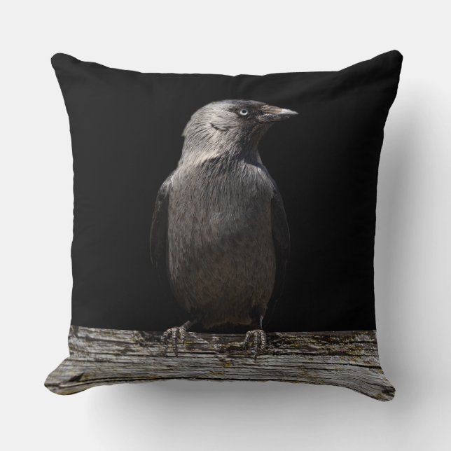 Perched on a Fence Raven Throw Pillow (Front)