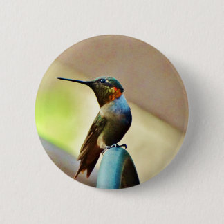 Perched Ruby and Green little Hummingbird 2 Inch Round Button