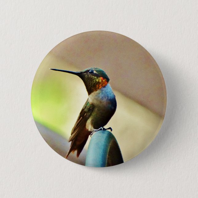 Perched Ruby and Green  little Hummingbird 2 Inch Round Button (Front)