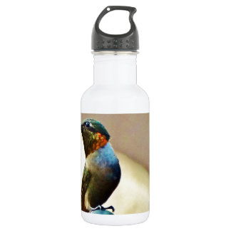 Perched Ruby and Green  little Hummingbird 532 Ml Water Bottle