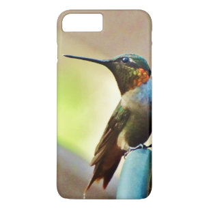 Perched Ruby and Green little Hummingbird iPhone 8 Plus/7 Plus Case