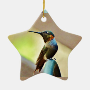 Perched Ruby and Green  little Hummingbird Ceramic Ornament
