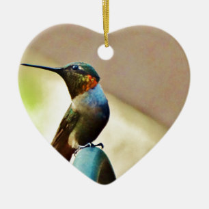 Perched Ruby and Green  little Hummingbird Ceramic Ornament