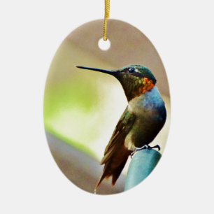 Perched Ruby and Green  little Hummingbird Ceramic Ornament