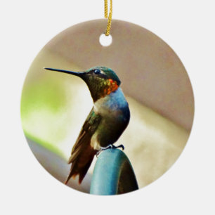 Perched Ruby and Green  little Hummingbird Ceramic Ornament