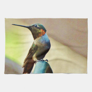 Perched Ruby and Green  little Hummingbird Kitchen Towel