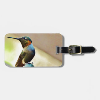 Perched Ruby and Green little Hummingbird Luggage Tag