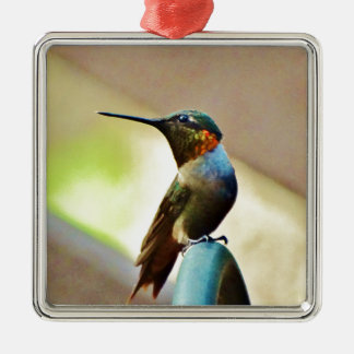 Perched Ruby and Green  little Hummingbird Metal Ornament