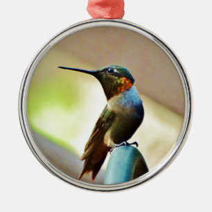 Perched Ruby and Green  little Hummingbird Metal Ornament