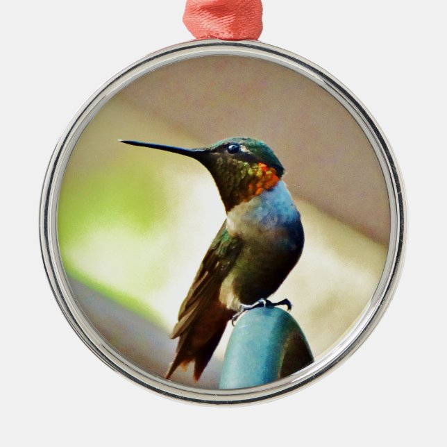 Perched Ruby and Green  little Hummingbird Metal Ornament (Front)