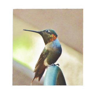 Perched Ruby and Green little Hummingbird Notepad