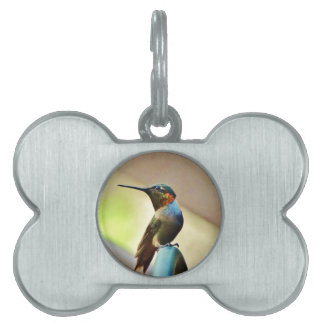 Perched Ruby and Green  little Hummingbird Pet Name Tag