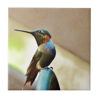 Perched Ruby and Green  little Hummingbird Tile