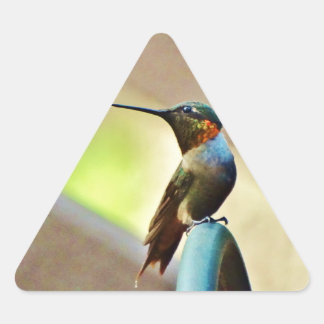 Perched Ruby and Green  little Hummingbird Triangle Sticker