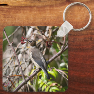 Perched Songbird, Bohemian Waxwing Keychain