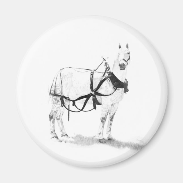 Percheron Brouillon Cheval Equine Art Magnets (Devant)