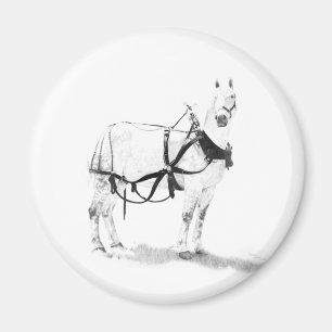 Percheron Draught Horse Equine Art Magnets