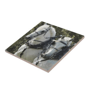 Percheron Team Tile