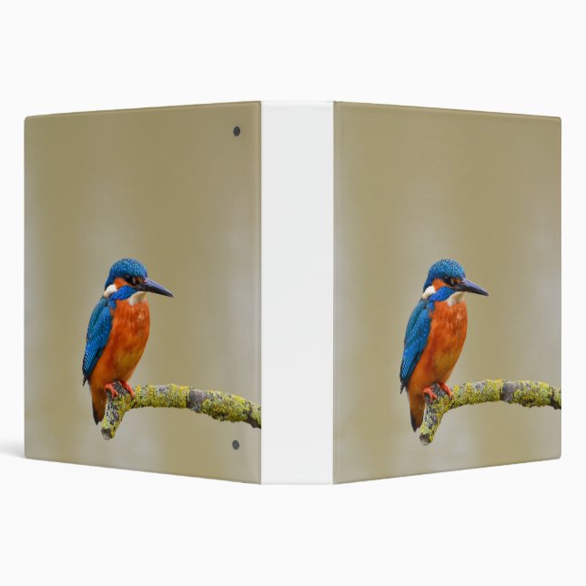 Perching Kingfisher Binder (Background)