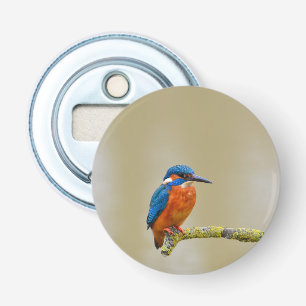 Perching Kingfisher Bottle Opener