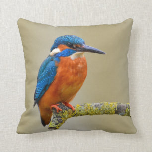 Perching Kingfisher Throw Pillow
