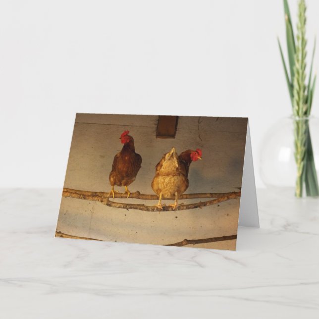 "Perching" Two Perched Chickens in Coop / Henhouse Card (Front)
