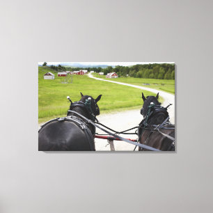 Perchon horses pulling cart  against historic canvas print